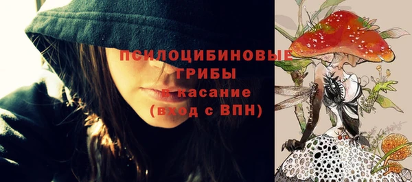 соль курить ск Горно-Алтайск